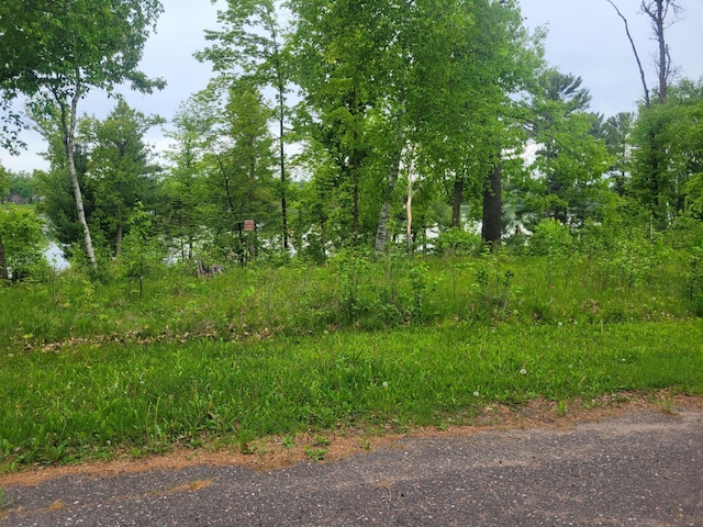 1737 White Ash Ln, Apple River Twp, WI 54810