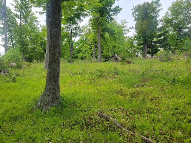 1737 White Ash Ln, Apple River Twp, WI 54810