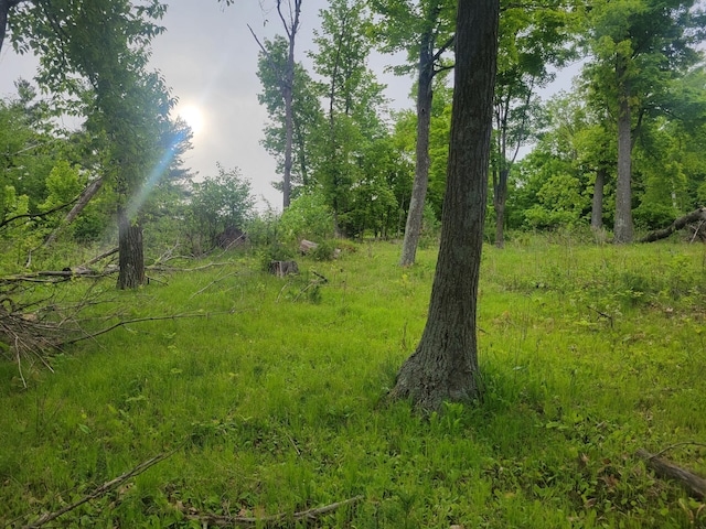 1737 White Ash Ln, Apple River Twp, WI 54810