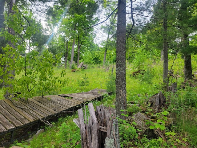 1737 White Ash Ln, Apple River Twp, WI 54810