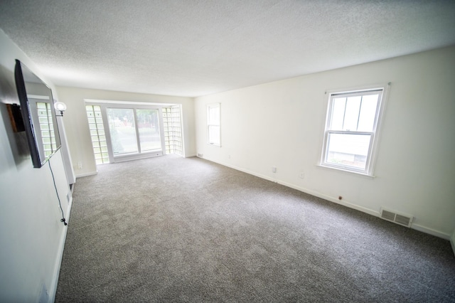 109 2nd St SW, Blooming Prairie, MN 55917 - carpeted spare room with a textured ceiling, plenty of natural light, and baseboards