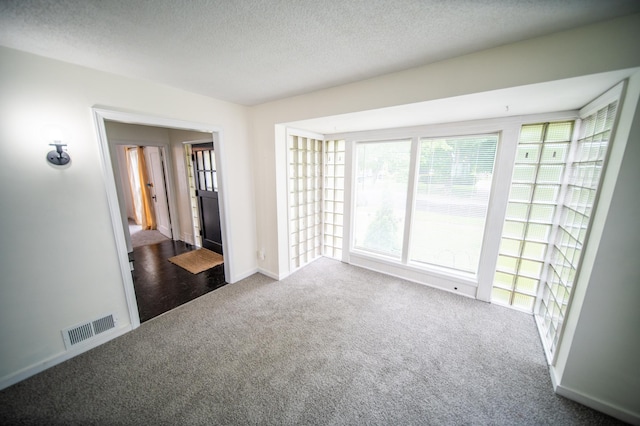 109 2nd St SW, Blooming Prairie, MN 55917 - spare room featuring carpet floors, a textured ceiling, and baseboards