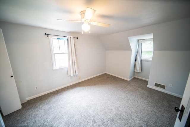 109 2nd St SW, Blooming Prairie, MN 55917 - bonus room featuring healthy amount of natural light, carpet flooring, ceiling fan, baseboards, and lofted ceiling