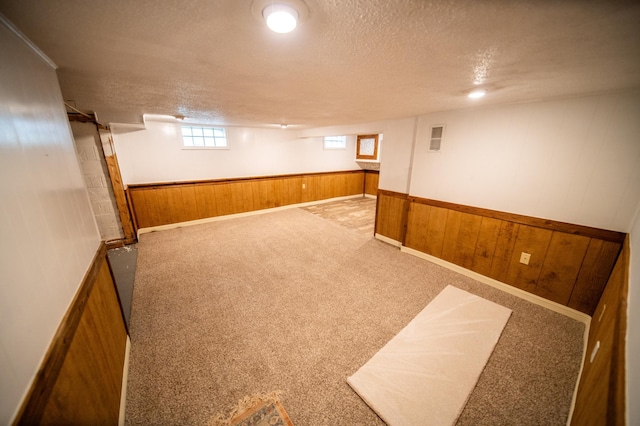 109 2nd St SW, Blooming Prairie, MN 55917 - below grade area featuring wood walls, a textured ceiling, a wainscoted wall, and carpet