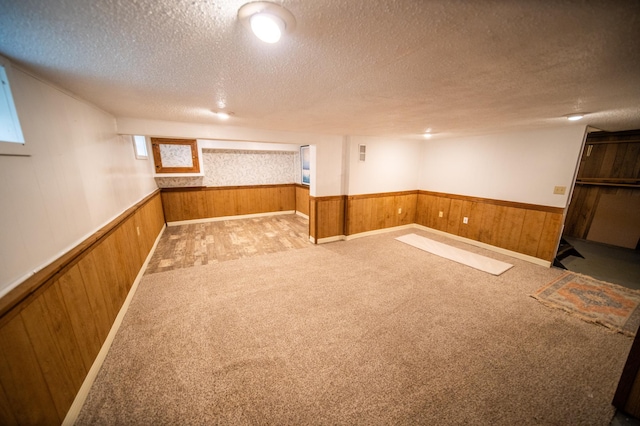 109 2nd St SW, Blooming Prairie, MN 55917 - basement with a textured ceiling, a wainscoted wall, wooden walls, and carpet flooring