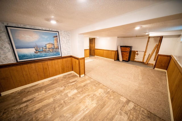 109 2nd St SW, Blooming Prairie, MN 55917 - finished below grade area with a wainscoted wall, a textured ceiling, wood finished floors, and wooden walls