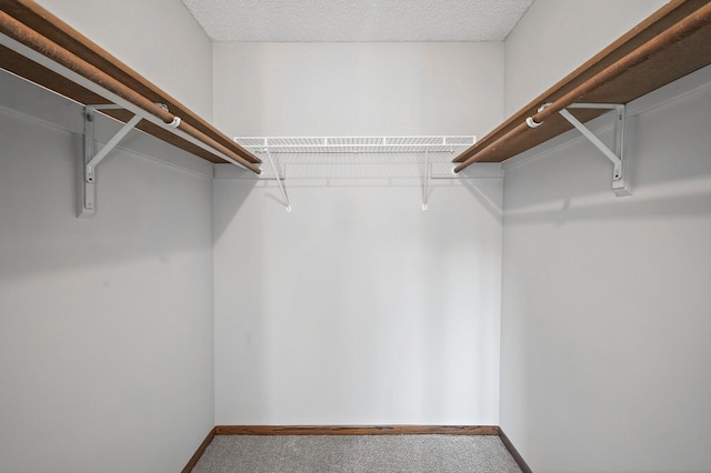 7618 Borman Way, Inver Grove Heights, MN 55076 - spacious closet with carpet flooring