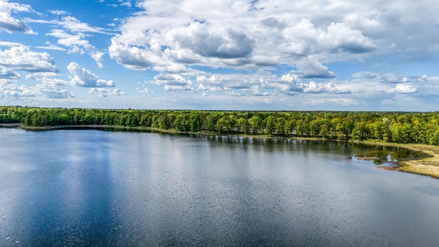 000 Lamon Rd NE, Bemidji, MN 56601