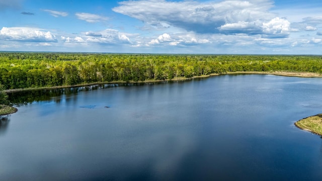 000 Lamon Rd NE, Bemidji, MN 56601