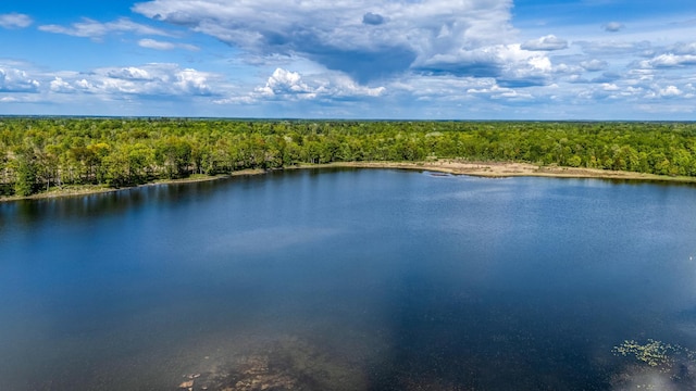 000 Lamon Rd NE, Bemidji, MN 56601