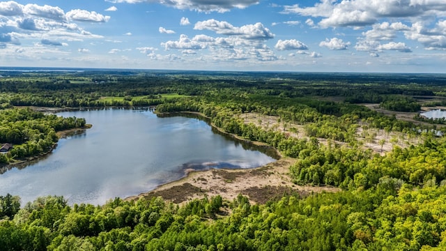 000 Lamon Rd NE, Bemidji, MN 56601