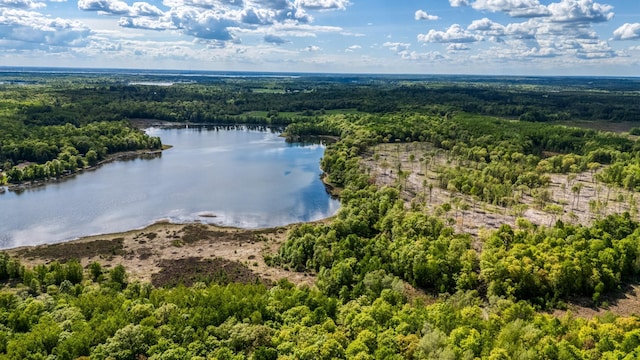 000 Lamon Rd NE, Bemidji, MN 56601