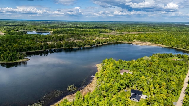 000 Lamon Rd NE, Bemidji, MN 56601