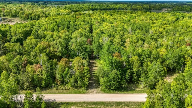 000 Lamon Rd NE, Bemidji, MN 56601