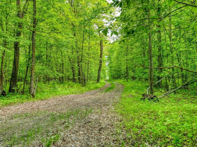000 Lamon Rd NE, Bemidji, MN 56601