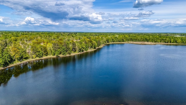 000 Lamon Rd NE, Bemidji, MN 56601