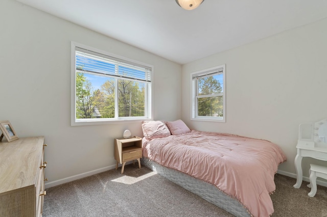 331 Locust St, Duluth, MN 55811 - bedroom featuring carpet flooring and baseboards