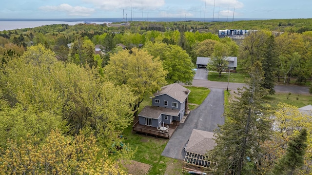 331 Locust St, Duluth, MN 55811 - drone / aerial view of a forest
