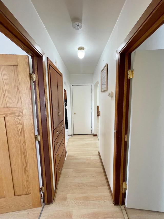111 Park Ave, Springfield, MN 56087 - hall featuring arched walkways and light wood-style floors