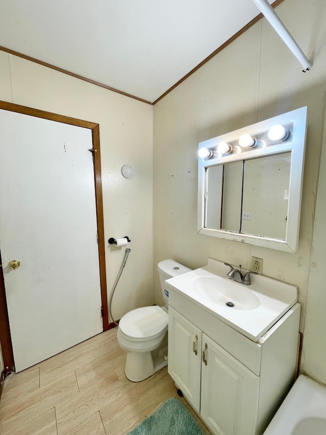 111 Park Ave, Springfield, MN 56087 - bathroom featuring vanity, toilet, and wood finished floors