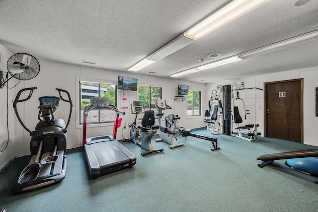 7510 Cahill Rd Unit 217B, Edina, MN 55439 - workout area with a textured ceiling