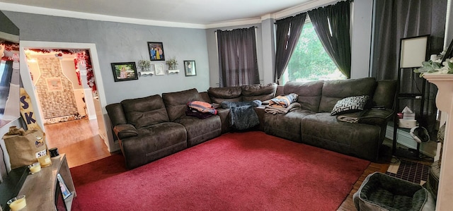 2753 Maple Ave, Slayton, MN 56172 - living room featuring wood finished floors