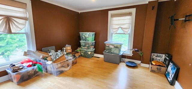 2753 Maple Ave, Slayton, MN 56172 - misc room featuring wood finished floors and crown molding