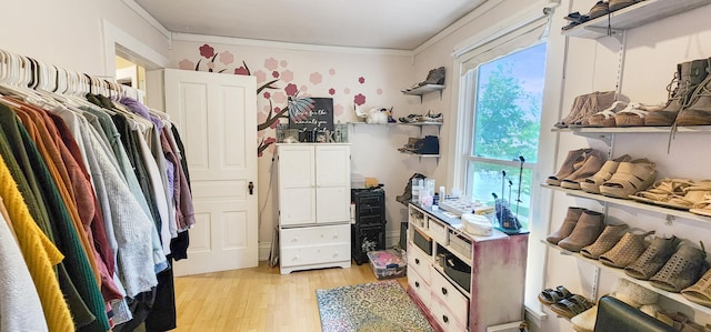 2753 Maple Ave, Slayton, MN 56172 - spacious closet with light wood finished floors