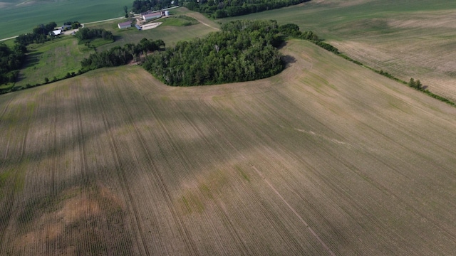 TBD 250thn St E, Douglas Twp, MN 55031 - photo 1