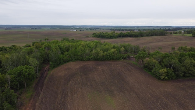 TBD 250thn St E, Douglas Twp, MN 55031 - photo 3