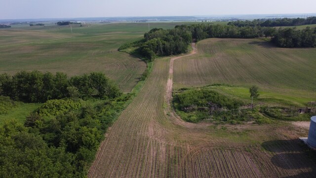 TBD 250thn St E, Douglas Twp, MN 55031 - photo 8