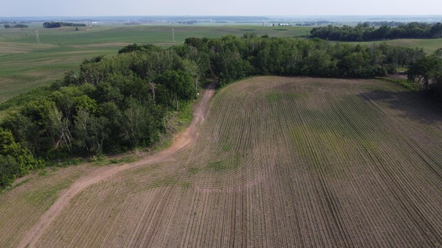 TBD 250thn St E, Douglas Twp, MN 55031 - photo 9