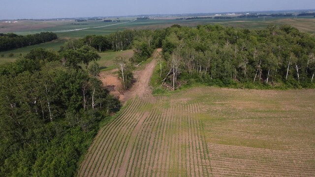 TBD 250thn St E, Douglas Twp, MN 55031 - photo 10