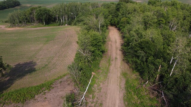 TBD 250thn St E, Douglas Twp, MN 55031 - photo 11