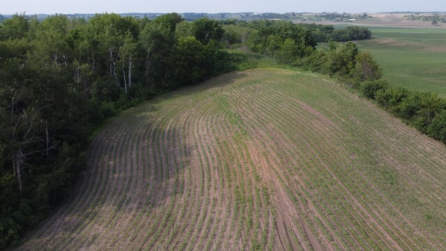 TBD 250thn St E, Douglas Twp, MN 55031 - photo 13