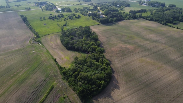 TBD 250thn St E, Douglas Twp, MN 55031 - photo 15