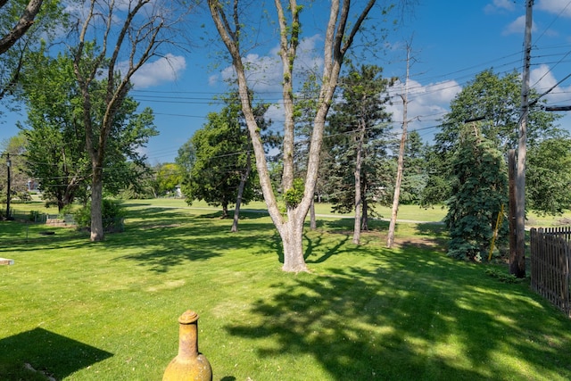 11748 Bittersweet St NW, Coon Rapids, MN 55433 - view of yard