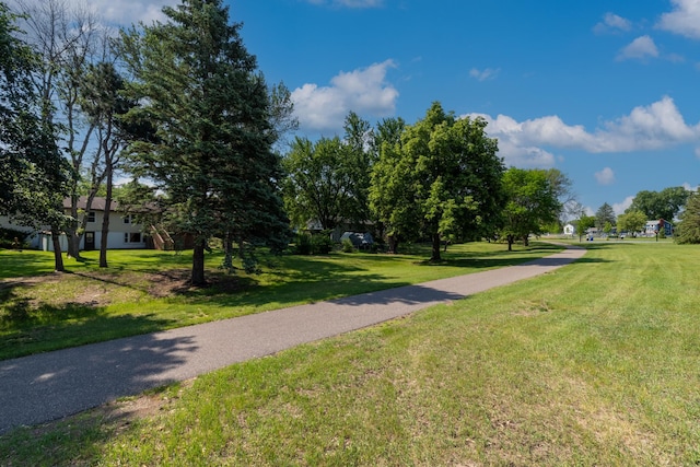 11748 Bittersweet St NW, Coon Rapids, MN 55433 - view of community featuring a yard