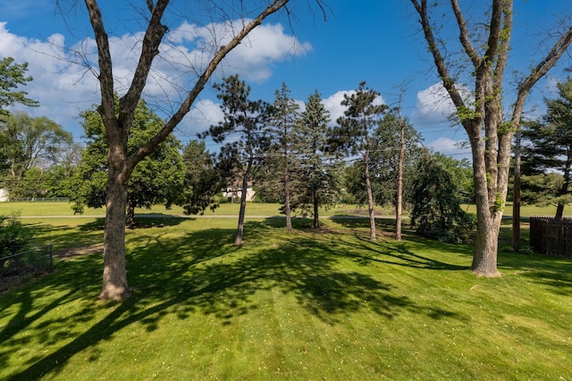11748 Bittersweet St NW, Coon Rapids, MN 55433 - view of yard with view of scattered trees