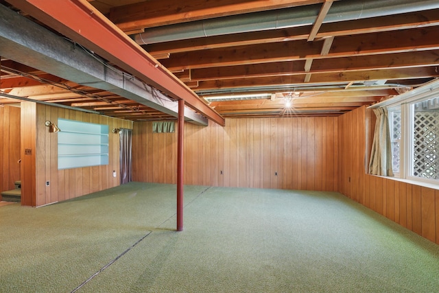 11748 Bittersweet St NW, Coon Rapids, MN 55433 - basement featuring carpet floors and wooden walls