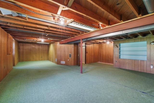 11748 Bittersweet St NW, Coon Rapids, MN 55433 - finished below grade area with carpet floors and wood walls