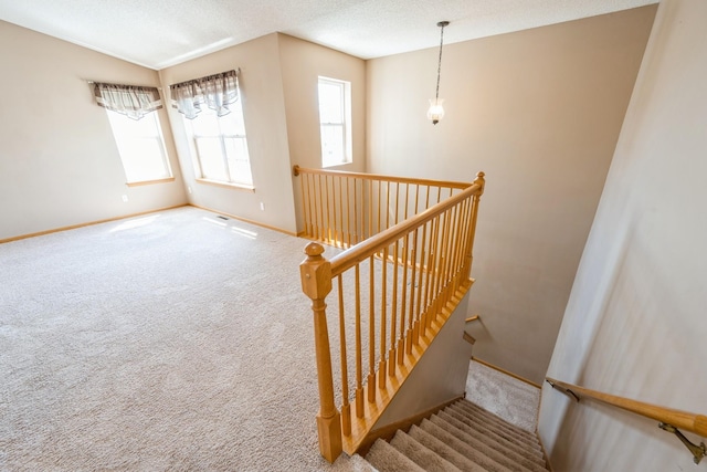 1005 Providence Dr, Shakopee, MN 55379 - stairs featuring carpet flooring, baseboards, and a textured ceiling