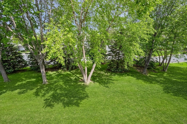 1005 Providence Dr, Shakopee, MN 55379 - view of green lawn
