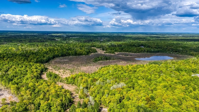 0000 Lamon Rd NE, Bemidji, MN 56601