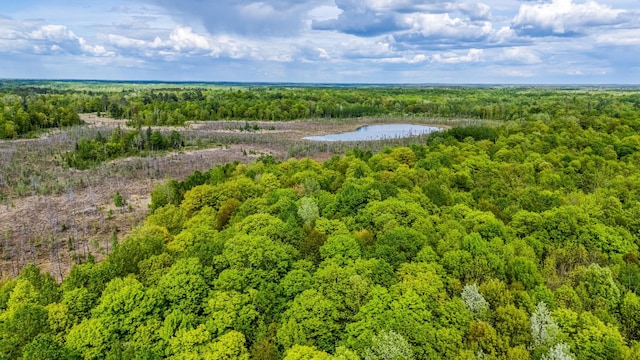 0000 Lamon Rd NE, Bemidji, MN 56601