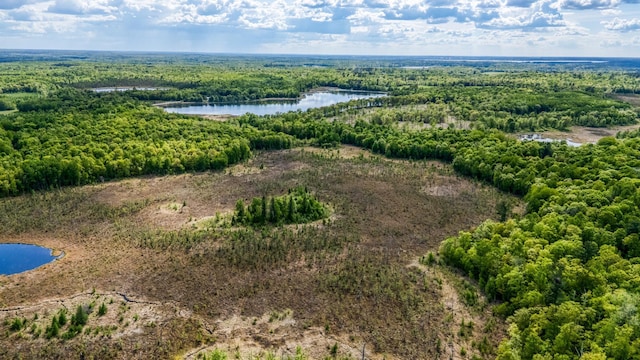 0000 Lamon Rd NE, Bemidji, MN 56601