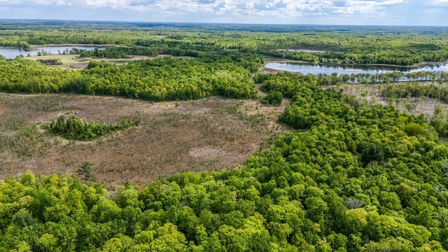 0000 Lamon Rd NE, Bemidji, MN 56601
