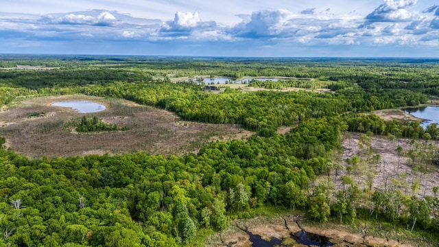 0000 Lamon Rd NE, Bemidji, MN 56601