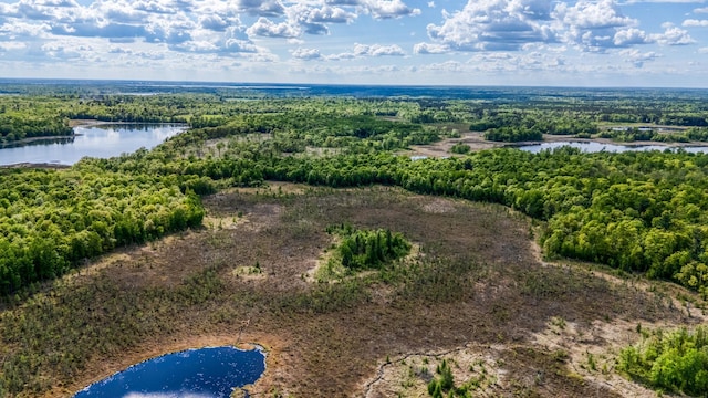 0000 Lamon Rd NE, Bemidji, MN 56601