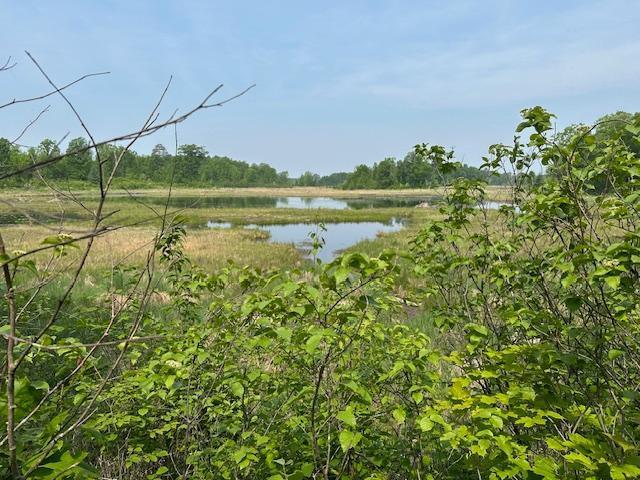 0000 Lamon Rd NE, Bemidji, MN 56601